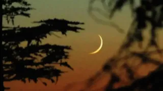 মহররমের চাঁদ দেখা গেছে, জানা গেল আশুরা কবে